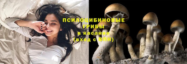 наркотики Абаза