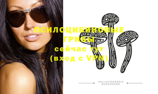 гашик Абинск