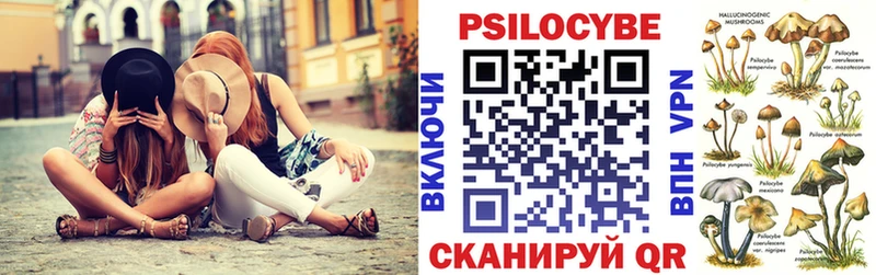 Псилоцибиновые грибы Magic Shrooms наркошоп Адыгейск